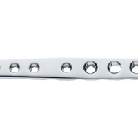 DT L LC SCAPX